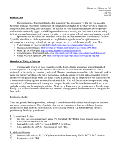 Fluorescence microscopy lab 2013