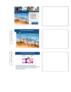 The Plasma Membrane The Plasma Membrane