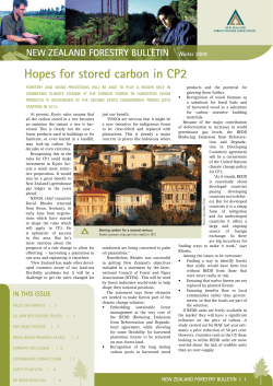 Hopes for stored carbon in CP2 - the Forest Owners Association