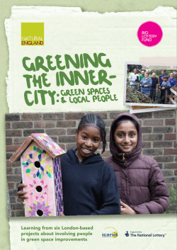 Greening the inner city: Green spaces and local people