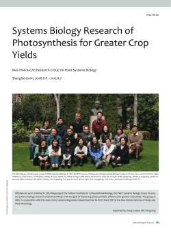 185 Systems Biology Research of Photosynthesis for Greater Crop