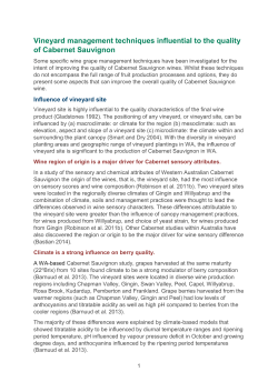 Rootstocks for Cabernet Sauvignon production