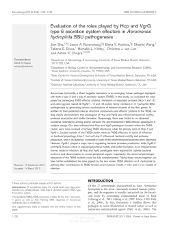 Evaluation of the roles played by Hcp and VgrG type