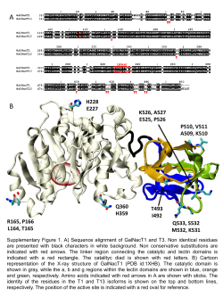 Presentación de PowerPoint