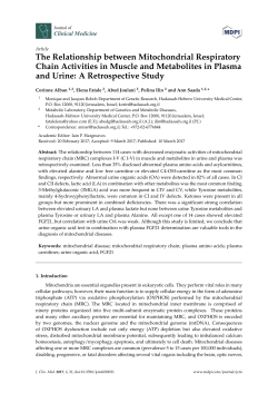 The Relationship between Mitochondrial Respiratory Chain