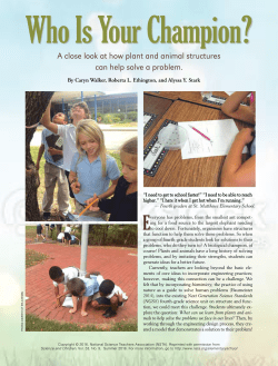 A close look at how plant and animal structures can help solve a