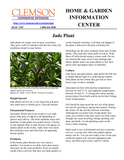 Jade Plant - Clemson University