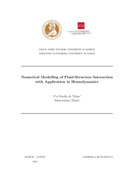Numerical Modelling of Fluid-Structure Interaction with Application in