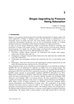 Biogas Upgrading by Pressure Swing Adsorption