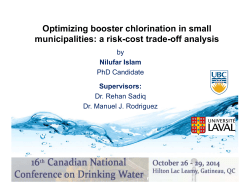 Optimizing booster chlorination in small municipalities: a risk