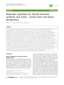 Molecules important for thyroid hormone synthesis and action