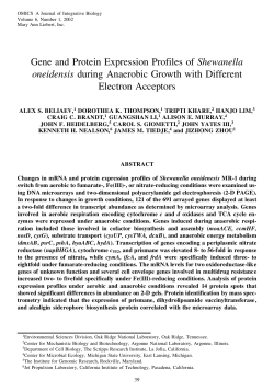 Gene and Protein Expression Profiles of Shewanella oneidensis
