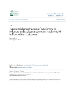 Functional characterization of cytochrome b5 reductase and its