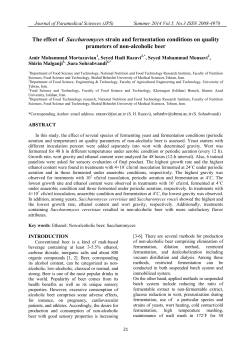 The effect of Saccharomyces strain and fermentation