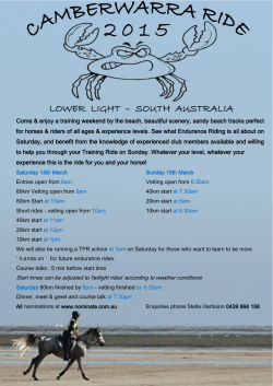 lower light south australia