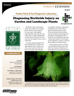 Diagnosing Herbicide Injury on Garden Landscape Plants