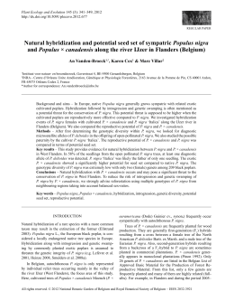 Natural hybridization and potential seed set of sympatric Populus