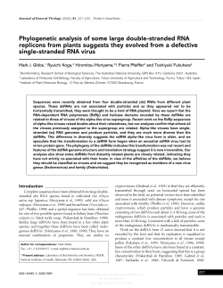 Phylogenetic analysis of some large double