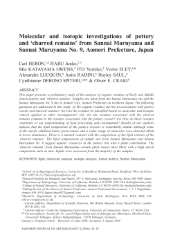 4-1_029 - Japanese Journal of Archaeology