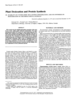 Plant Desiccation and Protein Synthesis