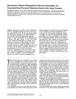 Bactenecins, Defense Polypeptides of Bovine
