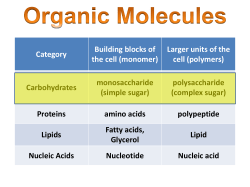 Organic Molecules