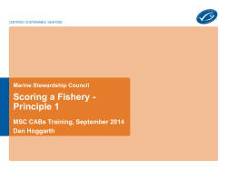 Scoring a Fishery - Principle 1