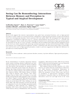 Seeing Can Be Remembering: Interactions Between Memory and