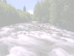 Powerpoint - Colorado FFA