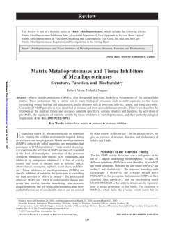 Matrix Metalloproteinases and Tissue Inhibitors of Metalloproteinases