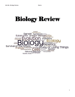 Scientific Method Practice: Salt and Boiling Water