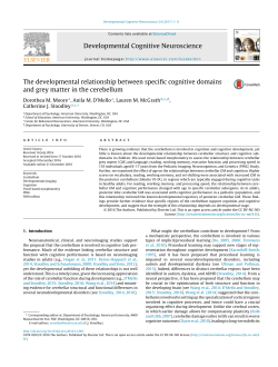 The developmental relationship between specific cognitive domains