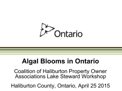 Algal Blooms in Ontario