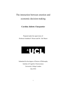 The interaction between emotion and economic decision