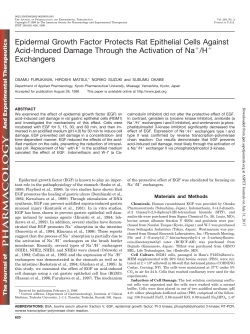 Epidermal Growth Factor Protects Rat Epithelial Cells Against Acid