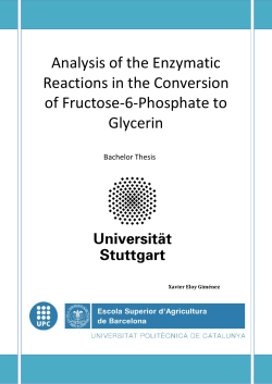 Analysis of the Enzymatic Reactions in the