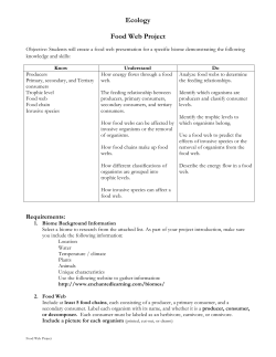 Food Web Scoring Guide