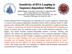 How does the non-uniform stiffness affect DNA looping?