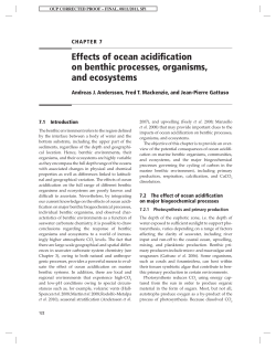 Effects of ocean acidification on benthic processes, organisms, and