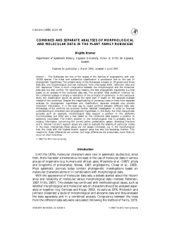 Combined and Separate Analyses of Morphological and Molecular
