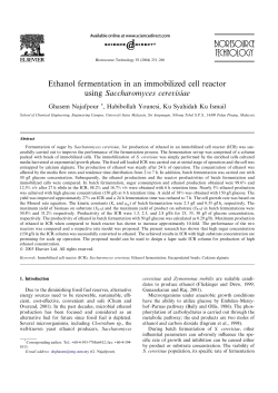 Ethanol fermentation in an immobilized cell reactor using
