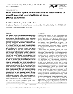 Root and stem hydraulic conductivity as