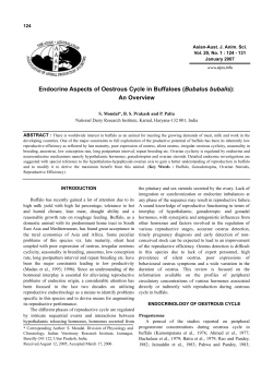 Endocrine Aspects of Oestrous Cycle in Buffaloes