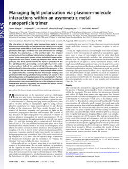 Managing light polarization via plasmon&ndash;molecule interactions