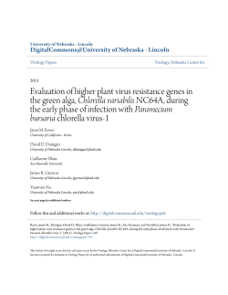 Evaluation of higher plant virus resistance genes in the green alga