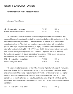 SCOTT LABORATORIES Fermentation/Cellar Yeasts Strains