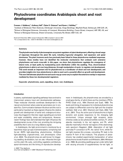 Phytochrome coordinates Arabidopsis shoot and root