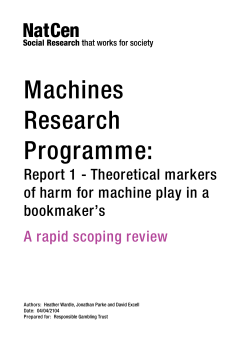 Theoretical markers of harm for machine play in a bookmaker`s