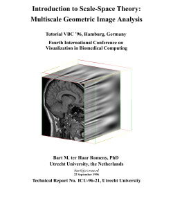 Introduction to Scale-Space Theory