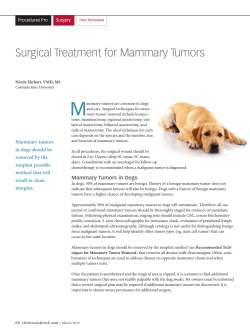 Surgical Treatment for Mammary Tumors